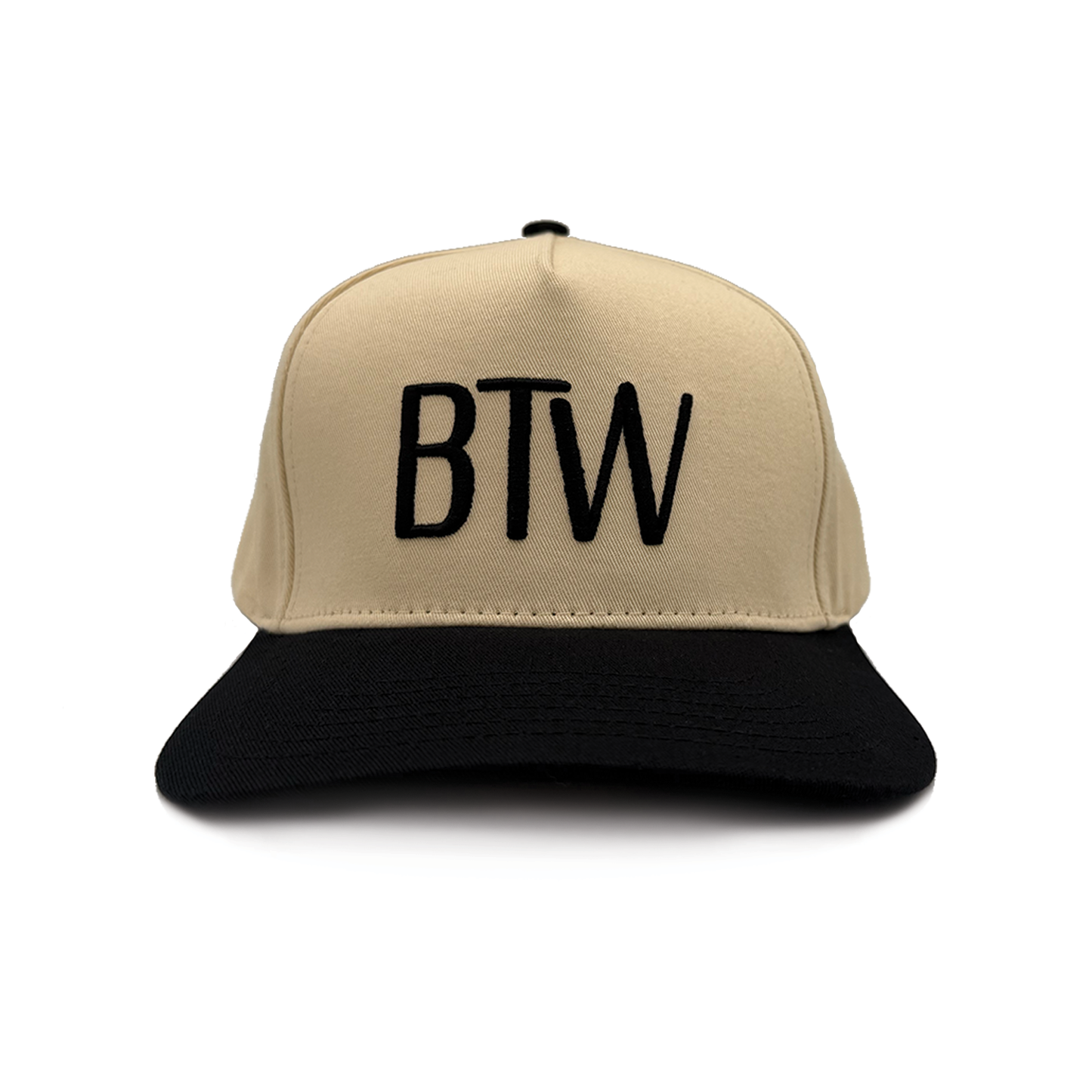 BTW Black Two-Tone 3D Puff Canvas Hat