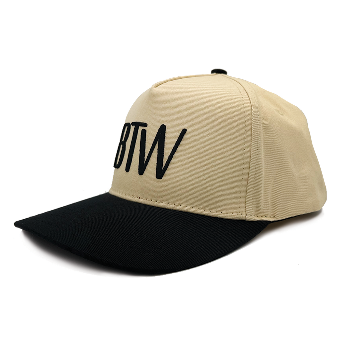 BTW Black Two-Tone 3D Puff Canvas Hat